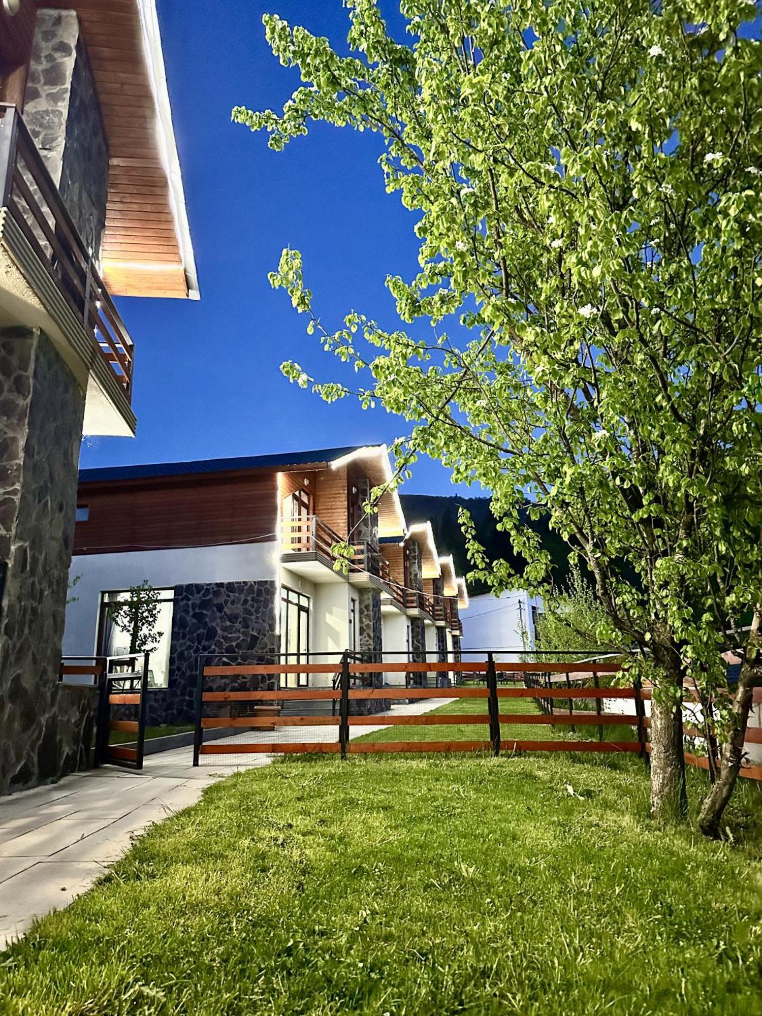 Villa Mtashi Bakoerjani Buitenkant foto